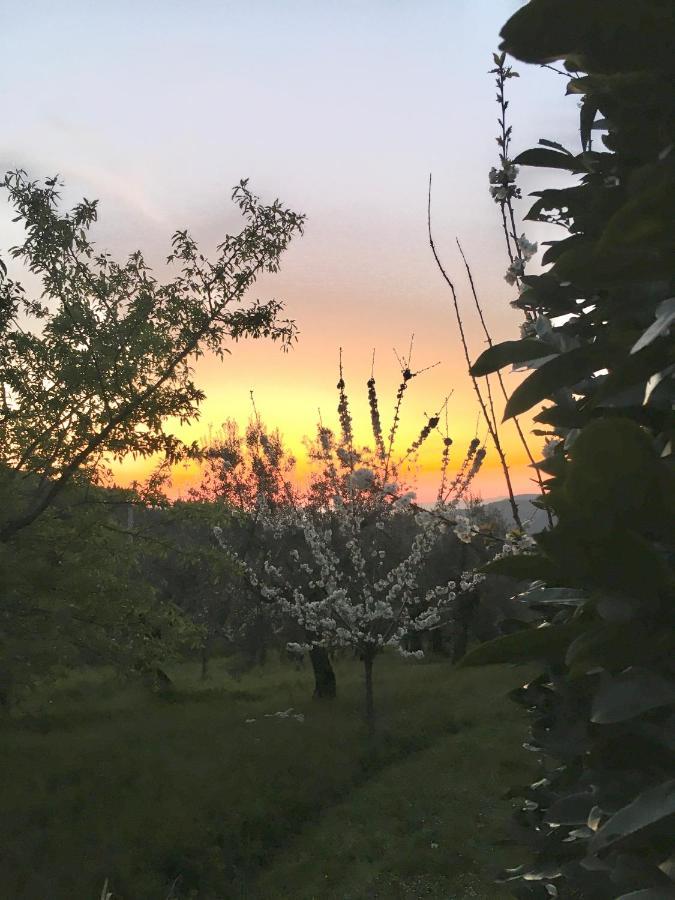 Podere Di Belforte Bagno a Ripoli Exterior foto